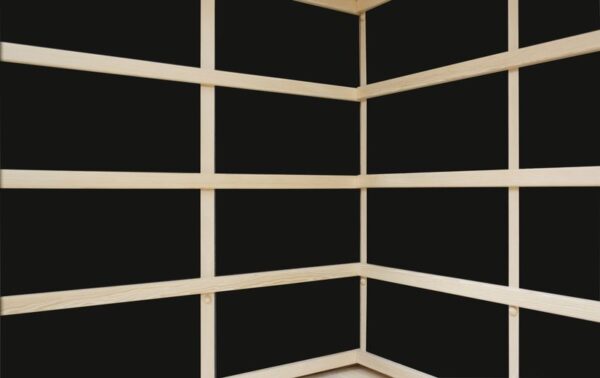 sauna de infrarrojos carbono 2