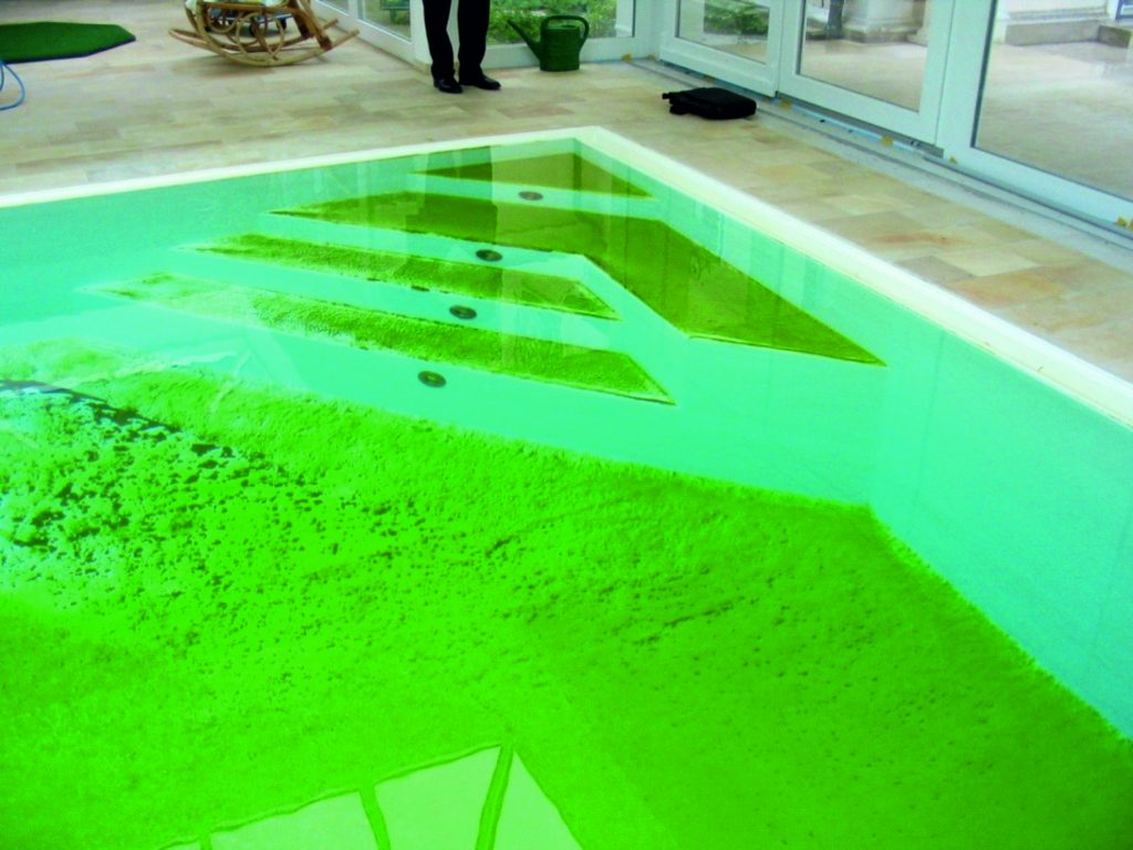Algas en el agua de la piscina